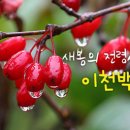 이천백사산수유영농조합 이미지