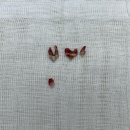 으뜸원동물병원 이미지