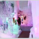 아이스뮤지엄 이미지