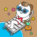 춘천-강남하이엔드 이미지