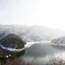 참조아 이미지