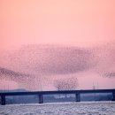 군무 2022-1 이미지