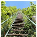 장수덕유산 이미지