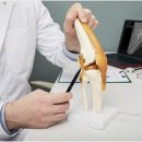 길음아산척신경외과의원 이미지