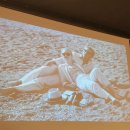 하단8-2 | [부산 하단 오늘 닭발해] 닭발 영계통구이 맛집 하단 닭발 맛집 내돈내산 솔직후기