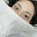 문정근린공원 | [체험]문정역속눈썹 잘하는 집 러빙미유래쉬 속눈썹 펌 후기