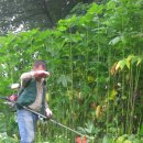 뇌조3리 이미지