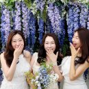 전포동 브라이덜샤워 파티룸 추천 럭스브리즈 Luxbreeze에서 친구들과 특별한 하루