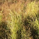 종필농장 이미지