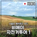 신영렌탈 | 비에이 여행 나홀로 자전거 투어 ① 패치워크 로드 (자전거 대여 위치, 가격)