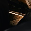 동안초등학교 이미지