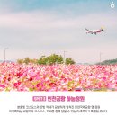영종도·용유도 Daum카페