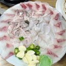 청해식당횟집 | 대구 동구 효목동 가성비 횟집, 청해회타운 식당 내돈내산 리뷰