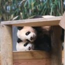 그날의 온도 이미지