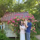 하*운 | 김해 브런치 카페 모하 재방문 후기
