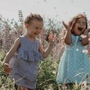 새미래초등학교 이미지