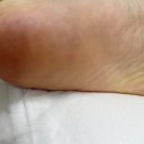 레푸스천안불당점