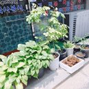 학사김밥 이미지