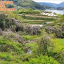 남해-220 이미지