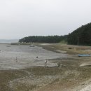 웅도민박 이미지