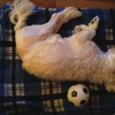 부라더축산 이미지