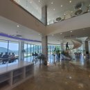 할로브리즈 이미지