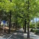 이상한나라의엘리스 | [공연후기]대전.뮤지컬-이상한나라의엘리스.완다랜드 후기