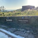 스테이월든 이미지