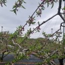 매호농장 이미지