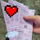 바위솔타운 이미지