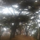 삼천궁녀 이미지