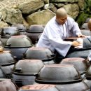 도림원 이미지