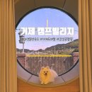 요리교실(야간) | 거제도여행 애견동반 숙소 캠프빌리지 매미성 근처 감성 카라반 후기