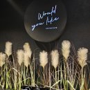 어스이스케이프 - 중구 동성로 15-1 | 어스이스케이프