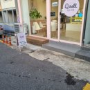 오늘도벨카롱 이미지