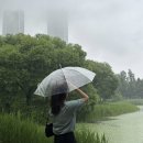 검배로83번길 | 57. 알고 보면 참 여린 사람인데 어떻게 그렇게 강하게만 살았니