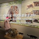 남양동물보호센터 | 대마도 실내여행코스 야마네코를 볼 수 있는 야생동물보호센터 솔직 후기
