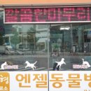 엔젤동물병원 이미지