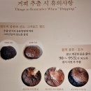 황실다방 | 이곳을 방문하면 커피맛이 달라진다. 커피를 사랑하는 사람이라면 『왈츠 &amp; 닥터만 커피박물관』