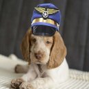 엔지포스트 이미지