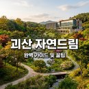 드림환경 | 괴산자연드림파크 완벽 가이드! 호텔 로움 예약 꿀팁과 부대시설 후기