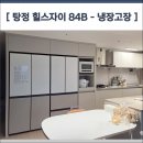 디자인심