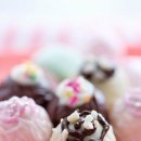 알콩이네 이미지