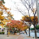 강구수협 | [일상/수협/후기] 강구수협 침산점 오픈 기념 예적금 들고 왔어요.