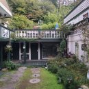 오색로뎀나무아래 이미지