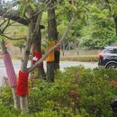 구포2동-4 이미지