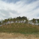 비봉산 등산로 화장실 이미지