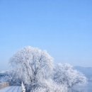 탄금호의 아침 이미지