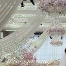 화이트홀 | [W_13] 리뉴얼 된 더링크 화이트홀✨ 방문 후기 (조명 바꿔줘요..)