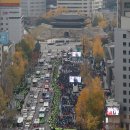 서울 도심에 '尹 퇴진' 상여…거리로 나선 농민·노동자 이미지